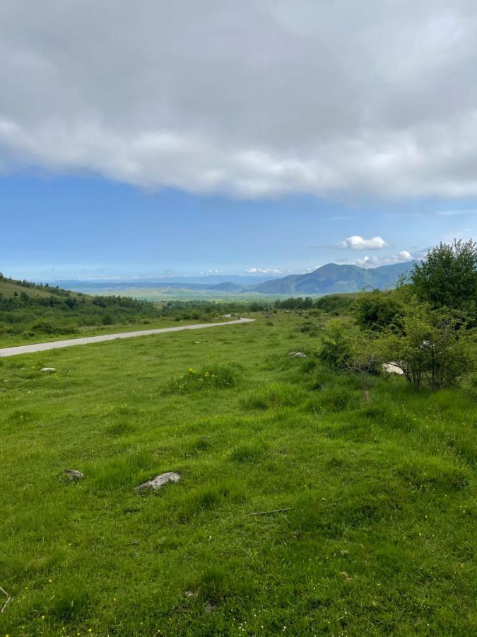Cabana La Pestera Pestera  Buitenkant foto